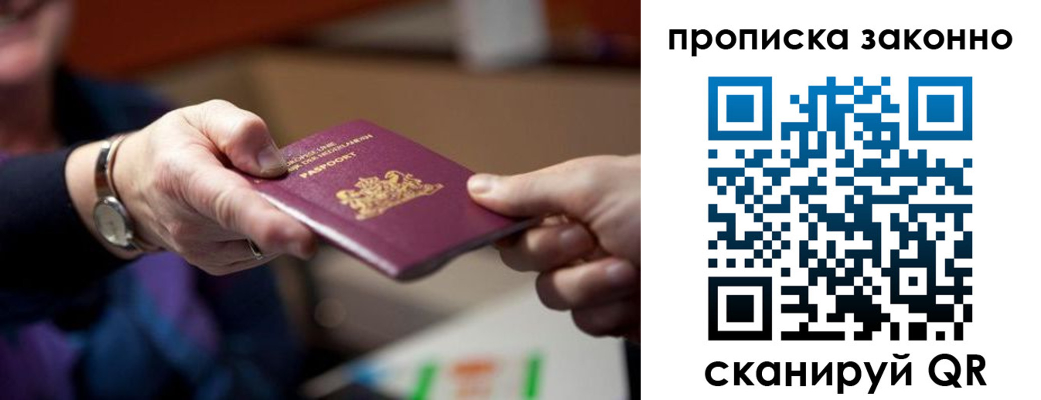 найти адрес прописки в Коле
